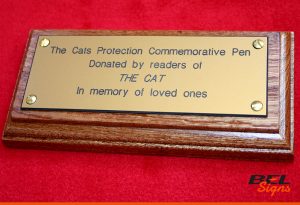 Cats Protection League engraved text on wooden board