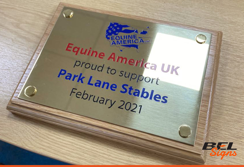 Infilled plaque Mirror Brass for Equine America
