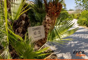 Hotel Sezz Engraved Plaques signage